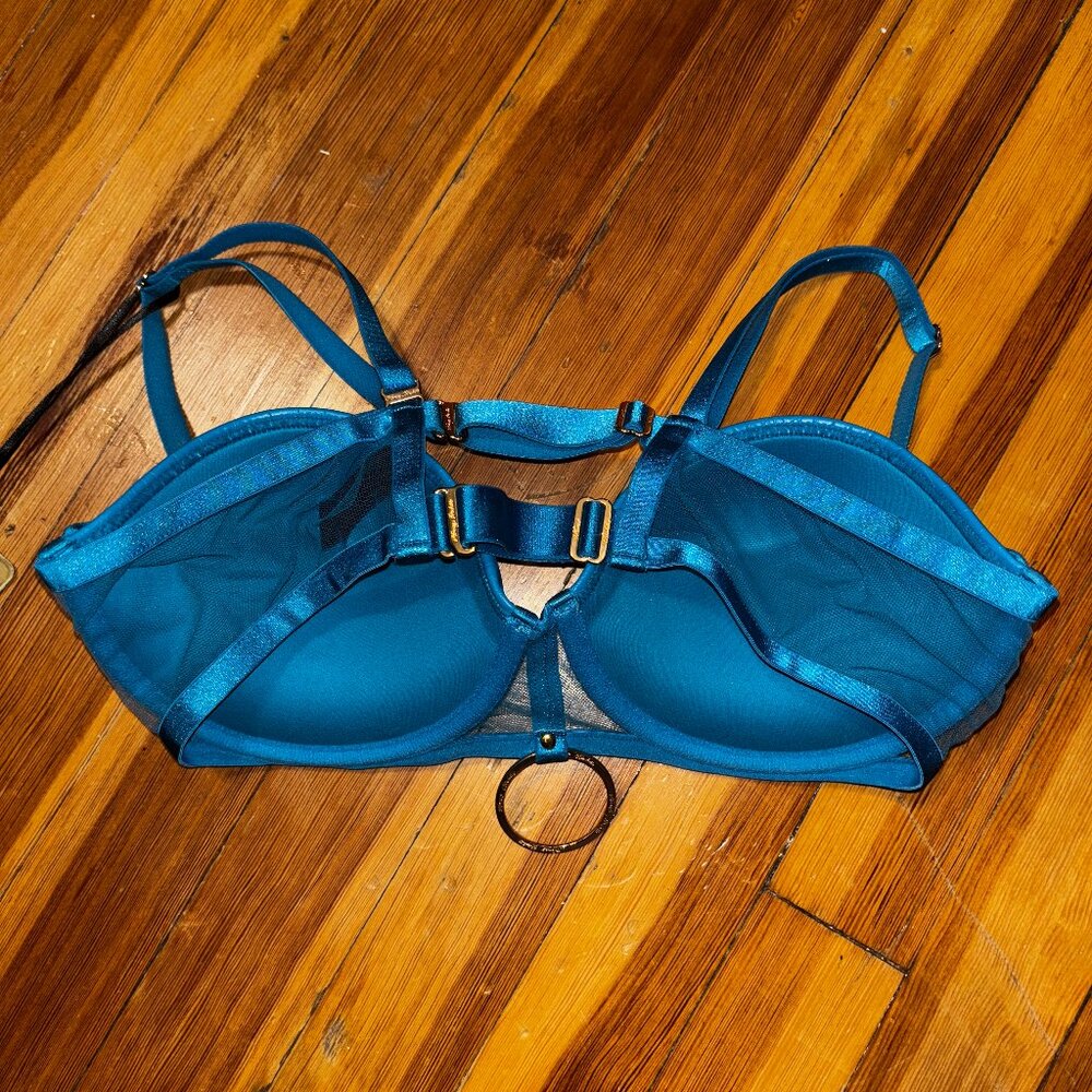 Mistress-T Pushup Bra - Honey Birdette - Picture 4 of 5